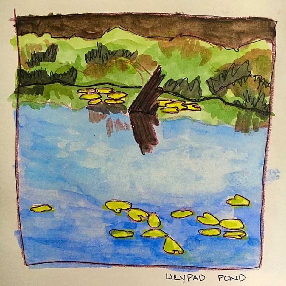 Lilly Pad Pond