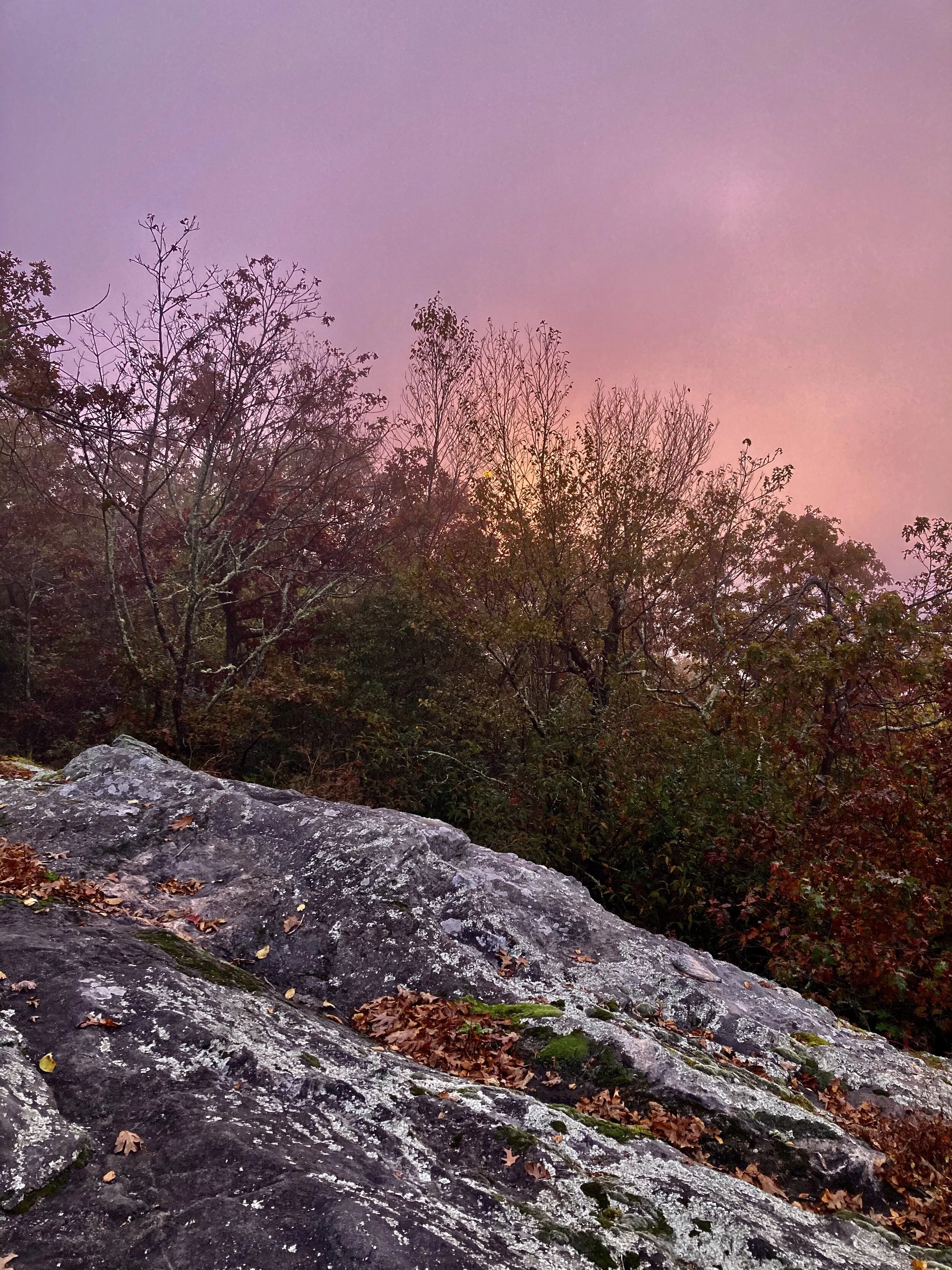 BMT/AT Figure 8 Day 45:  Final Resupply and a Rant