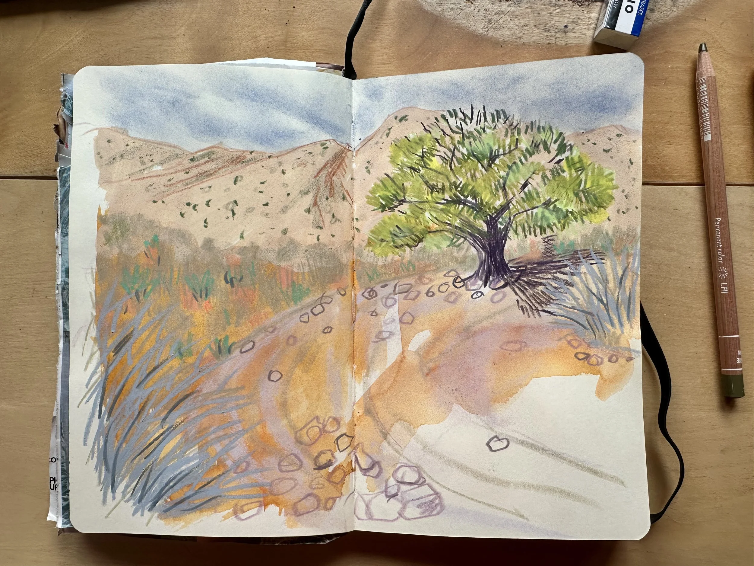 sketchbook tree.jpeg