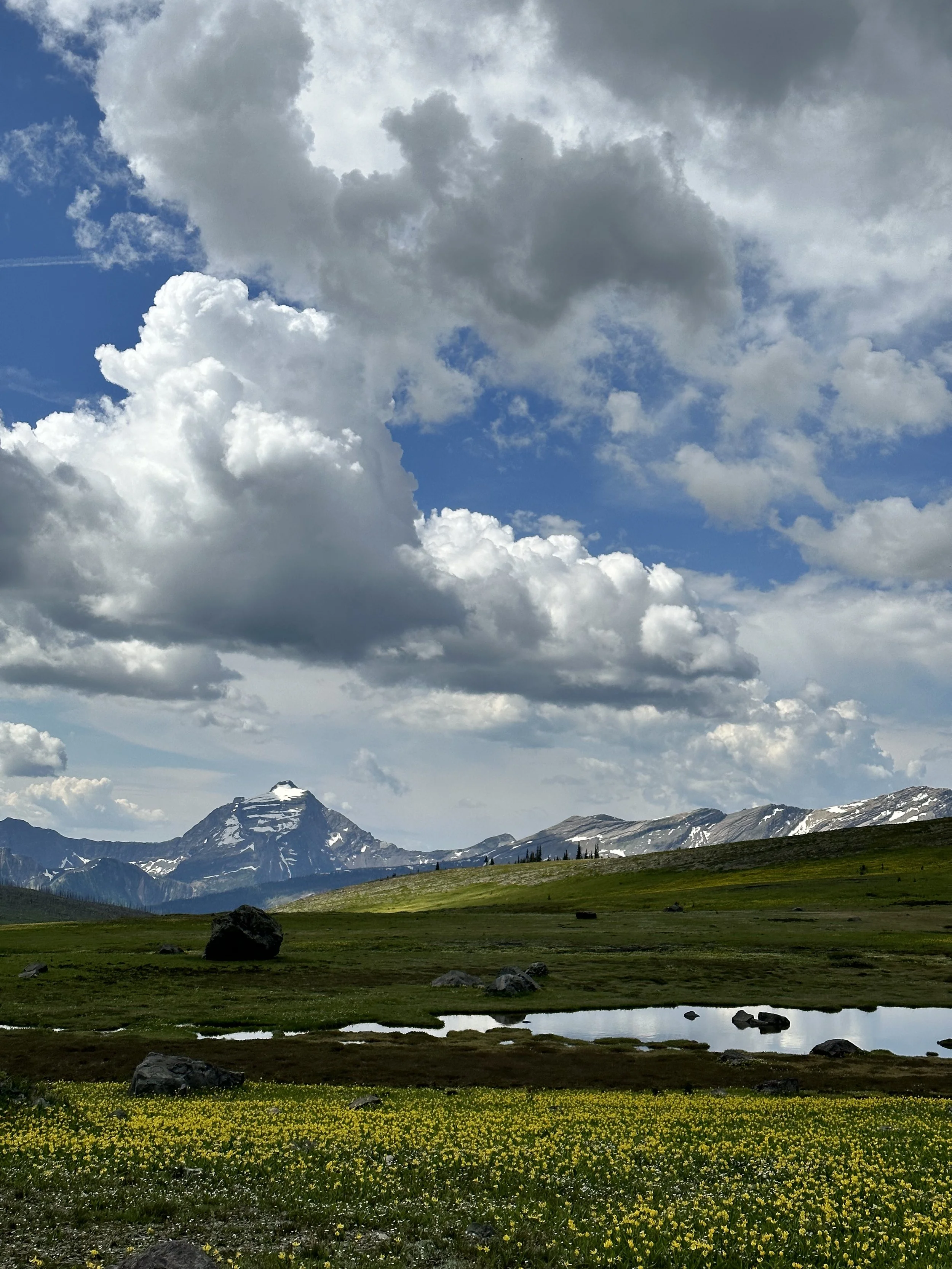 big sky.jpeg