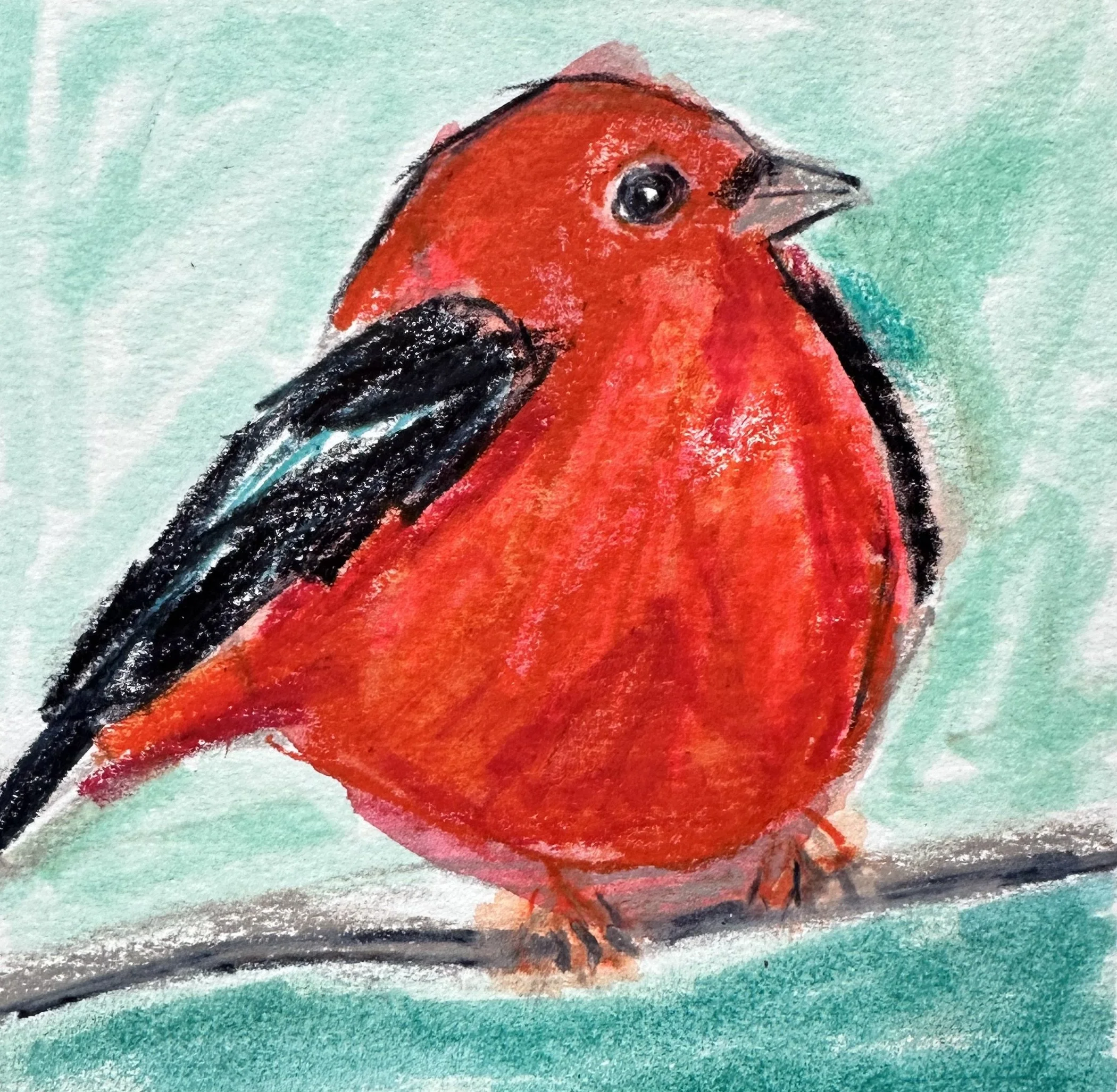 AT 2024, Day 8:  100 Miles!  And Sings with the Pines.