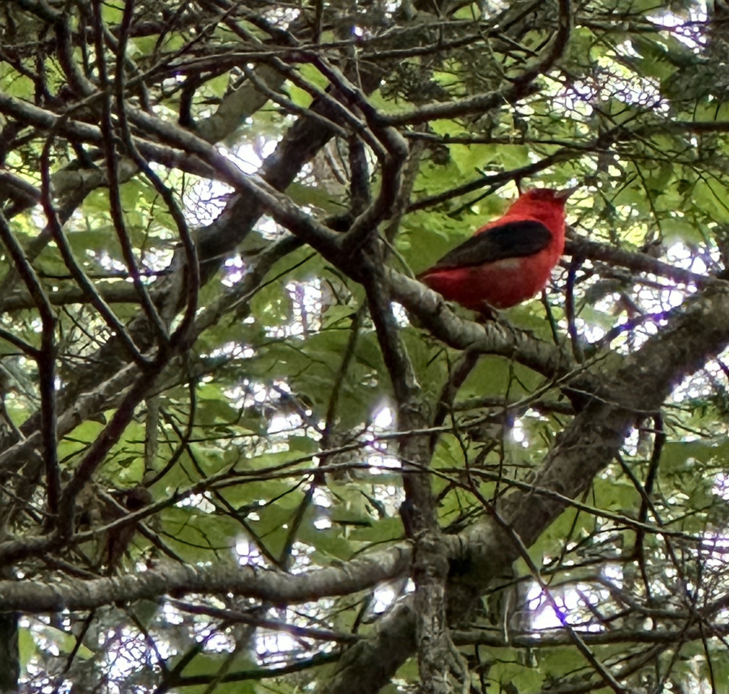 AT 2024, Day 9:  Unscheduled Kumbaya