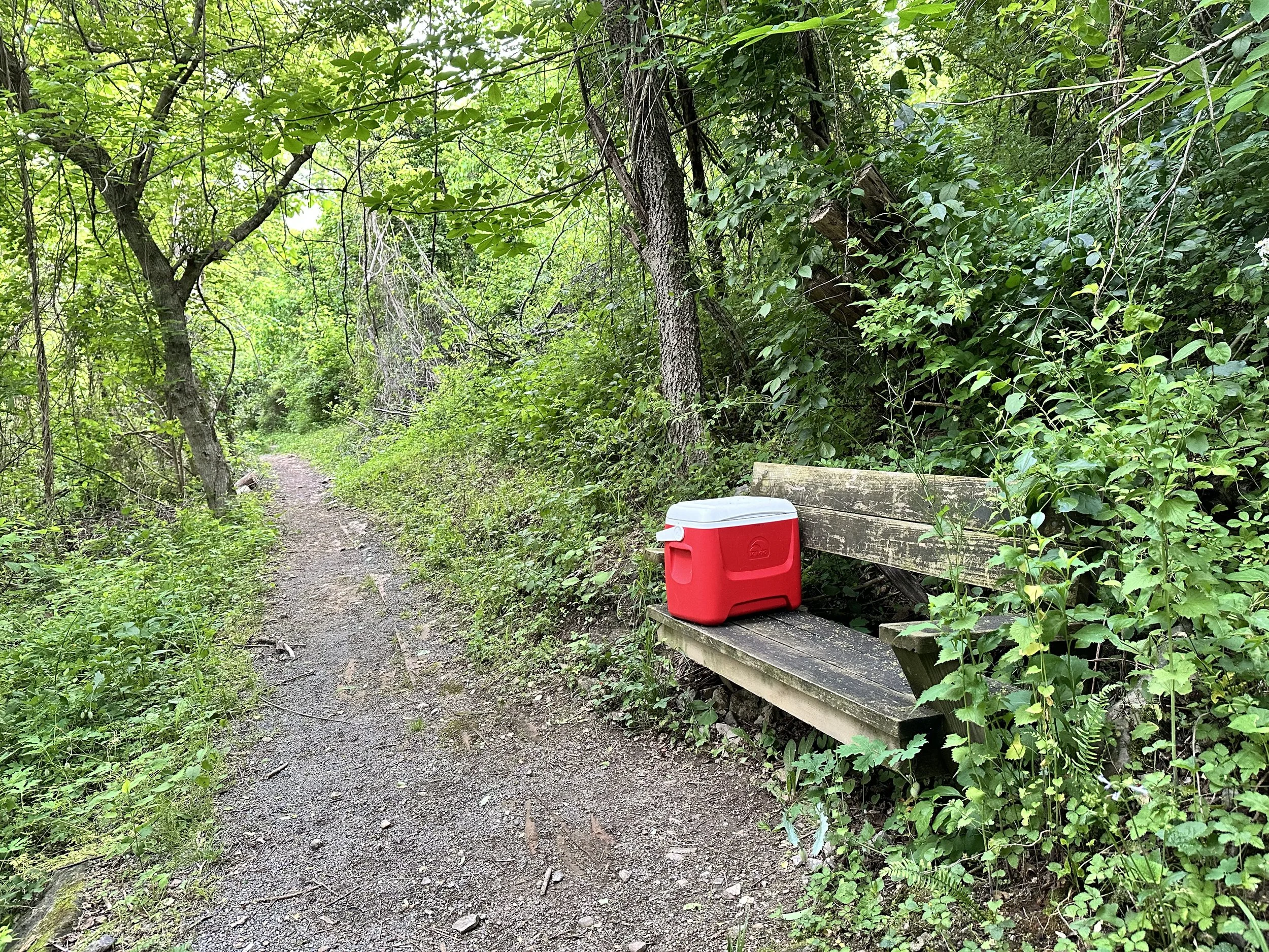 AT 2024, Day 12:  Should I Stay or Should I Go?