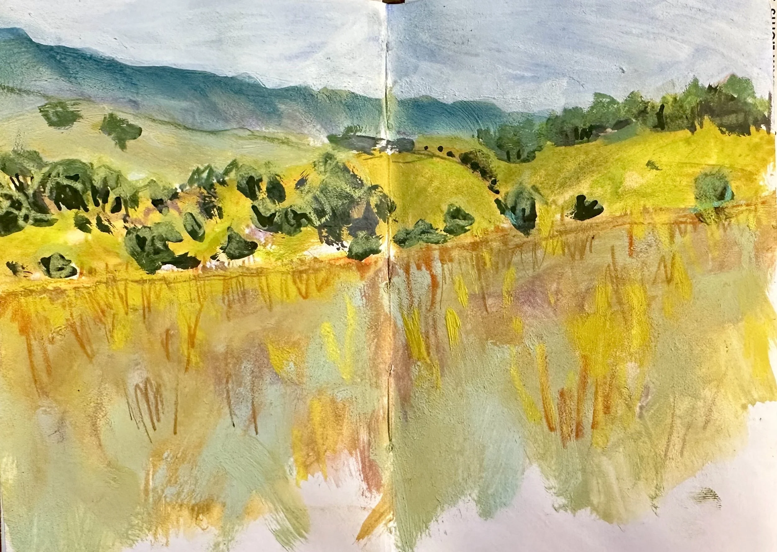 AT 2024, Day 14:  Do Better, Thru Hikers!