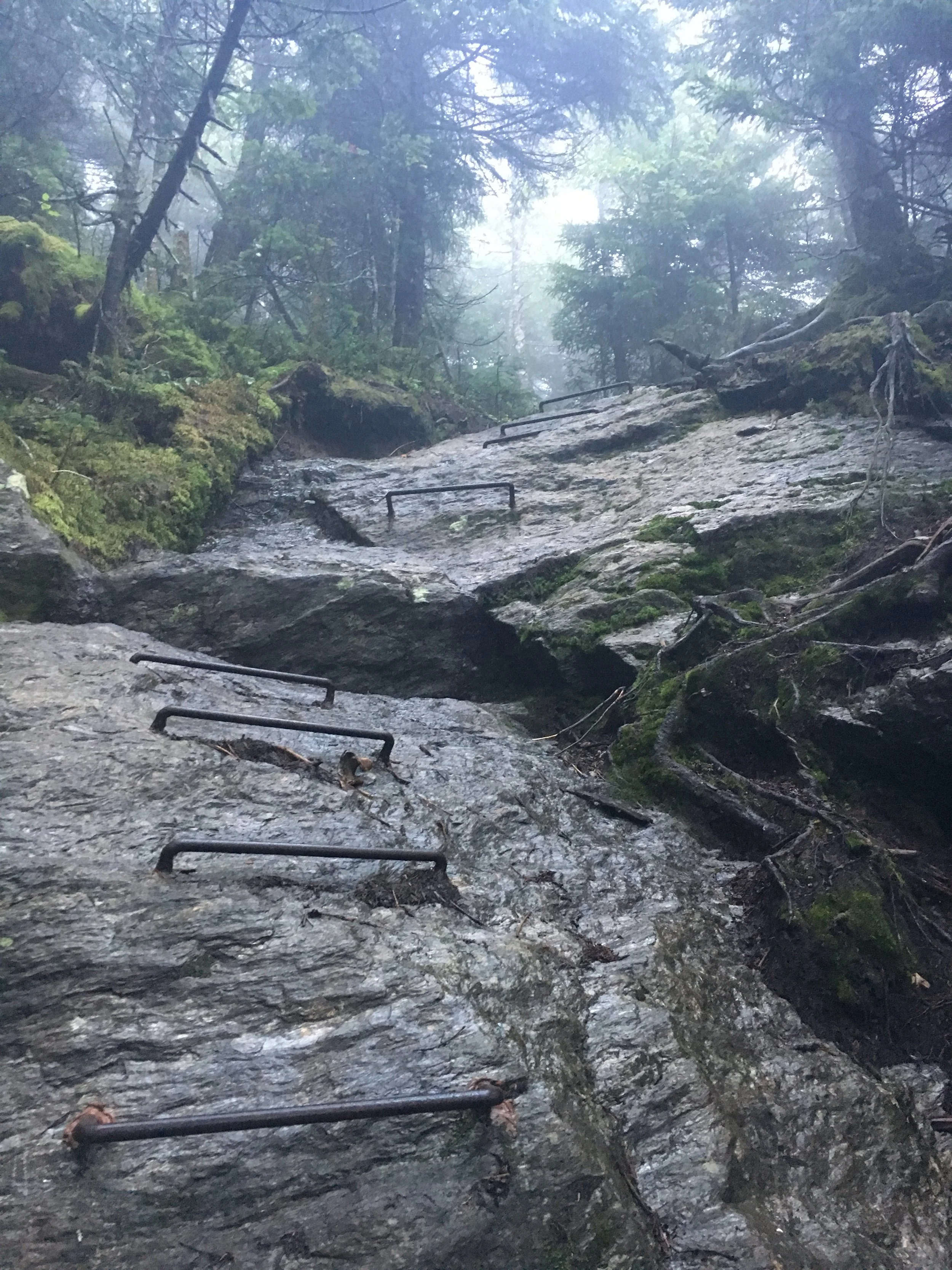 The Long Trail + Katahdin 2019
