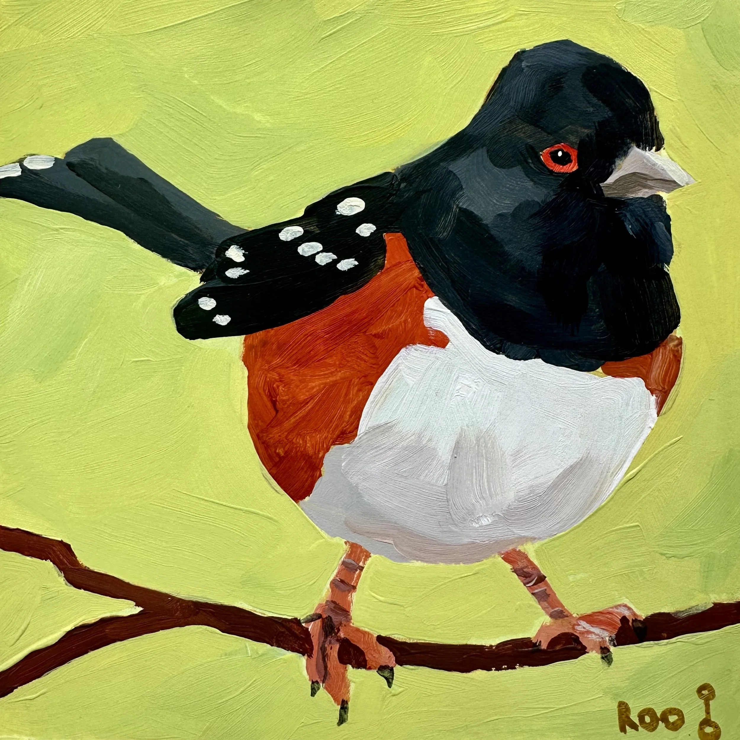 Spotted Towhee