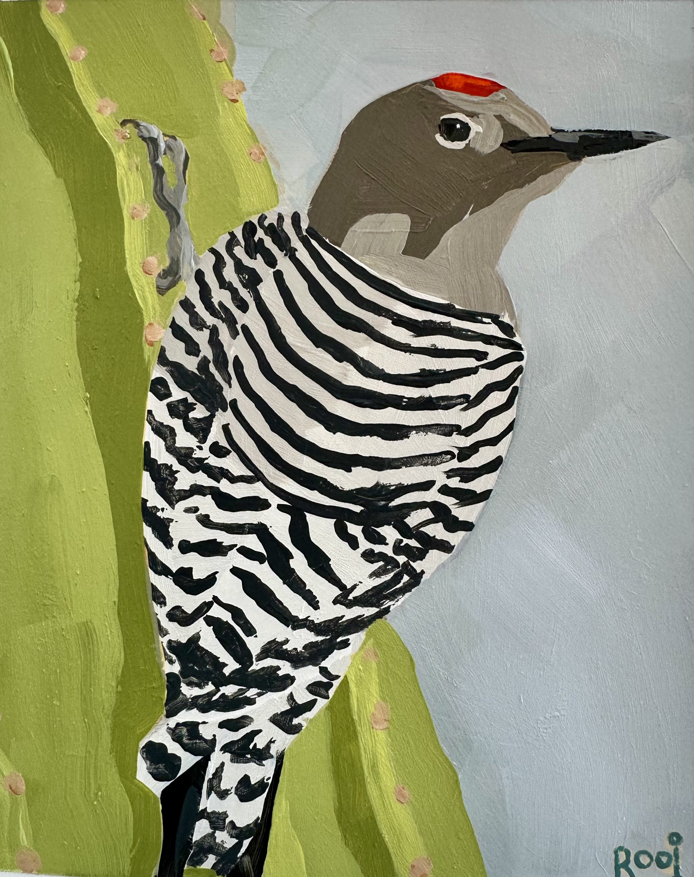 gila woodpecker 1.jpeg
