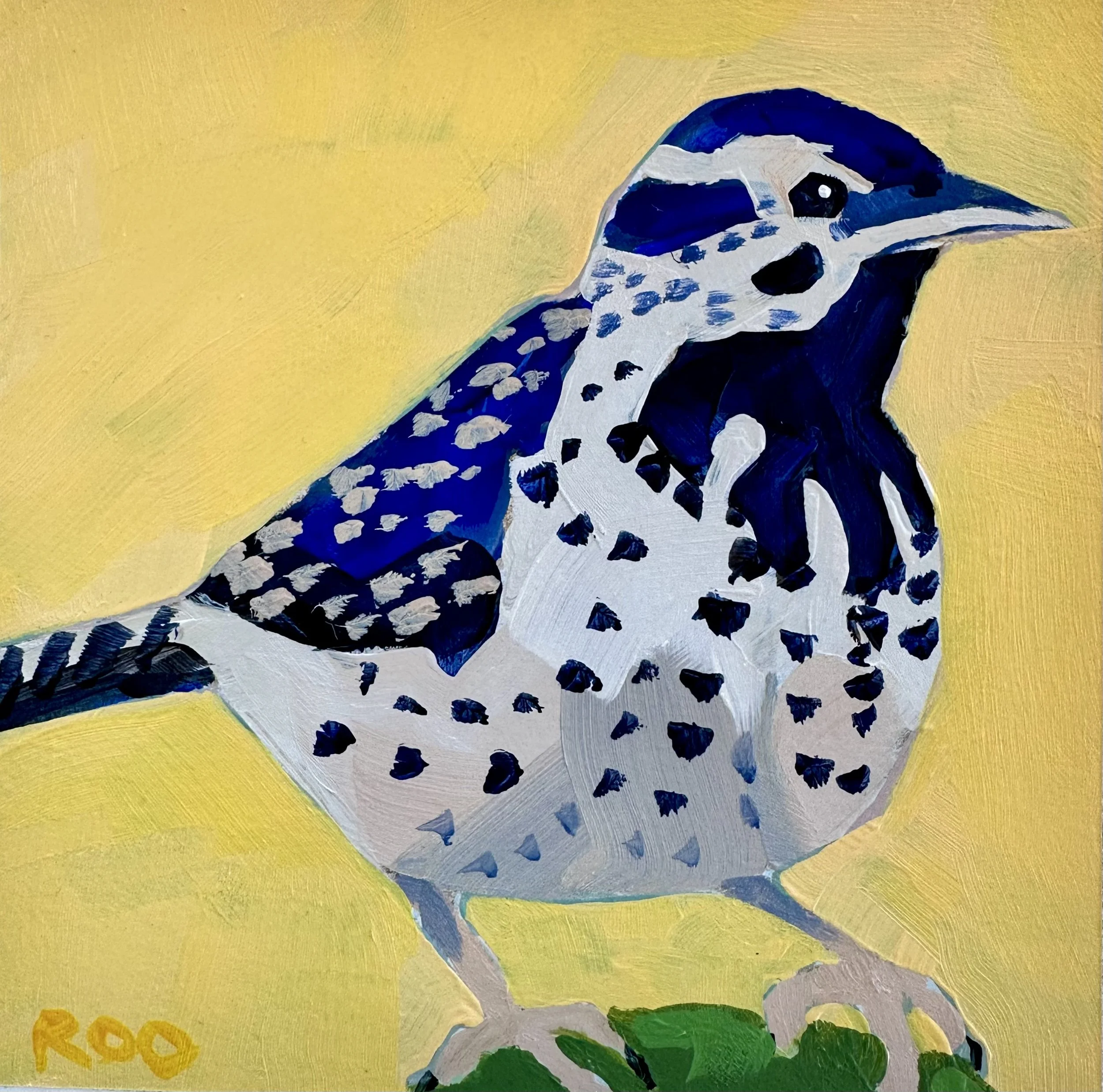cactus wren 4.jpeg