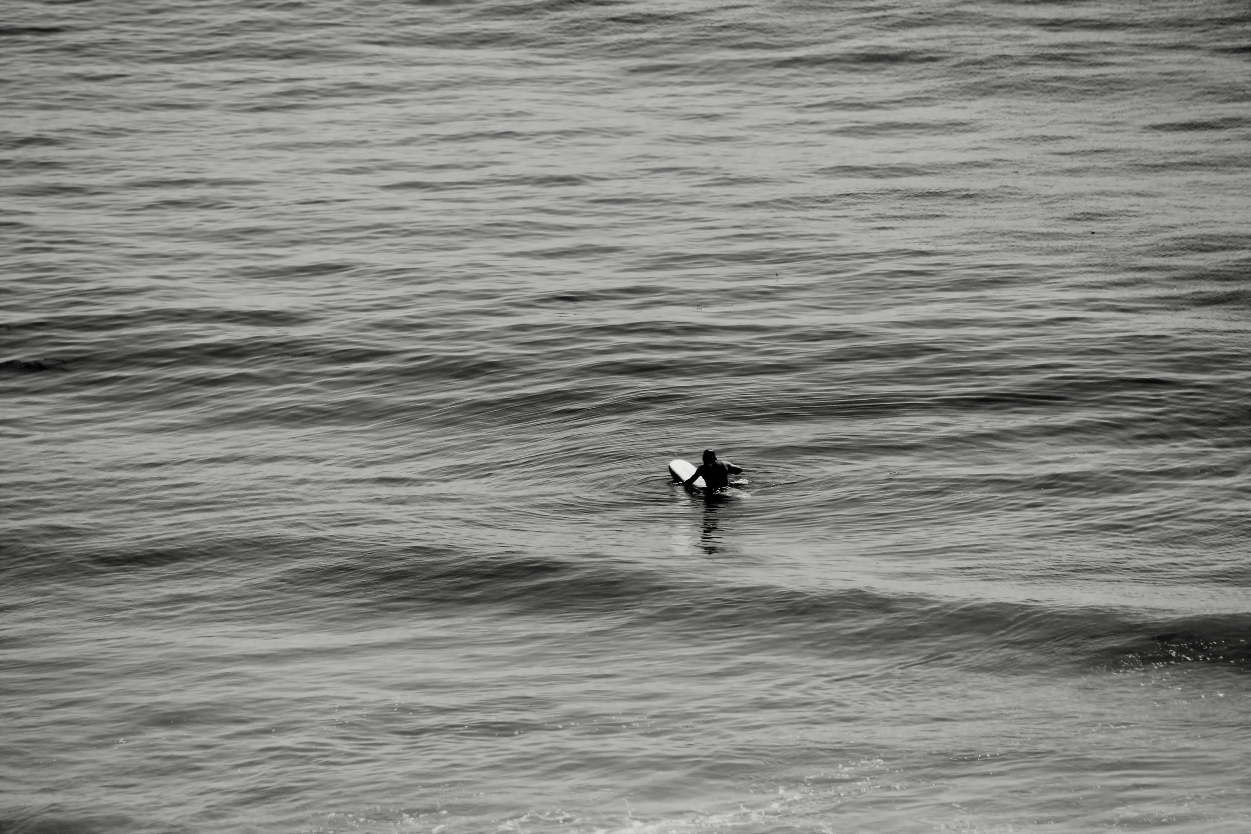 B&W Surf.jpeg