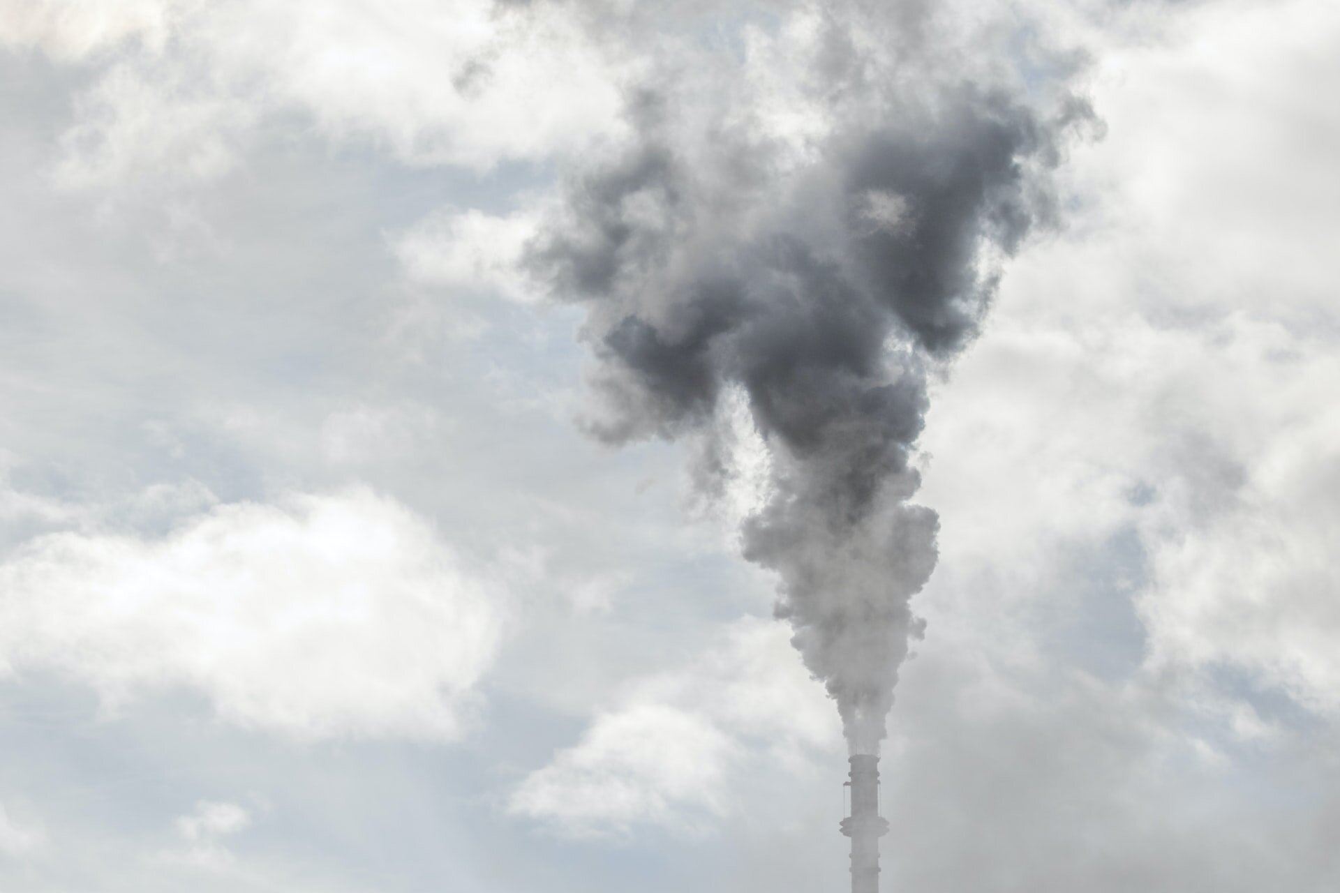 Understanding Systemic Racism and Climate Change