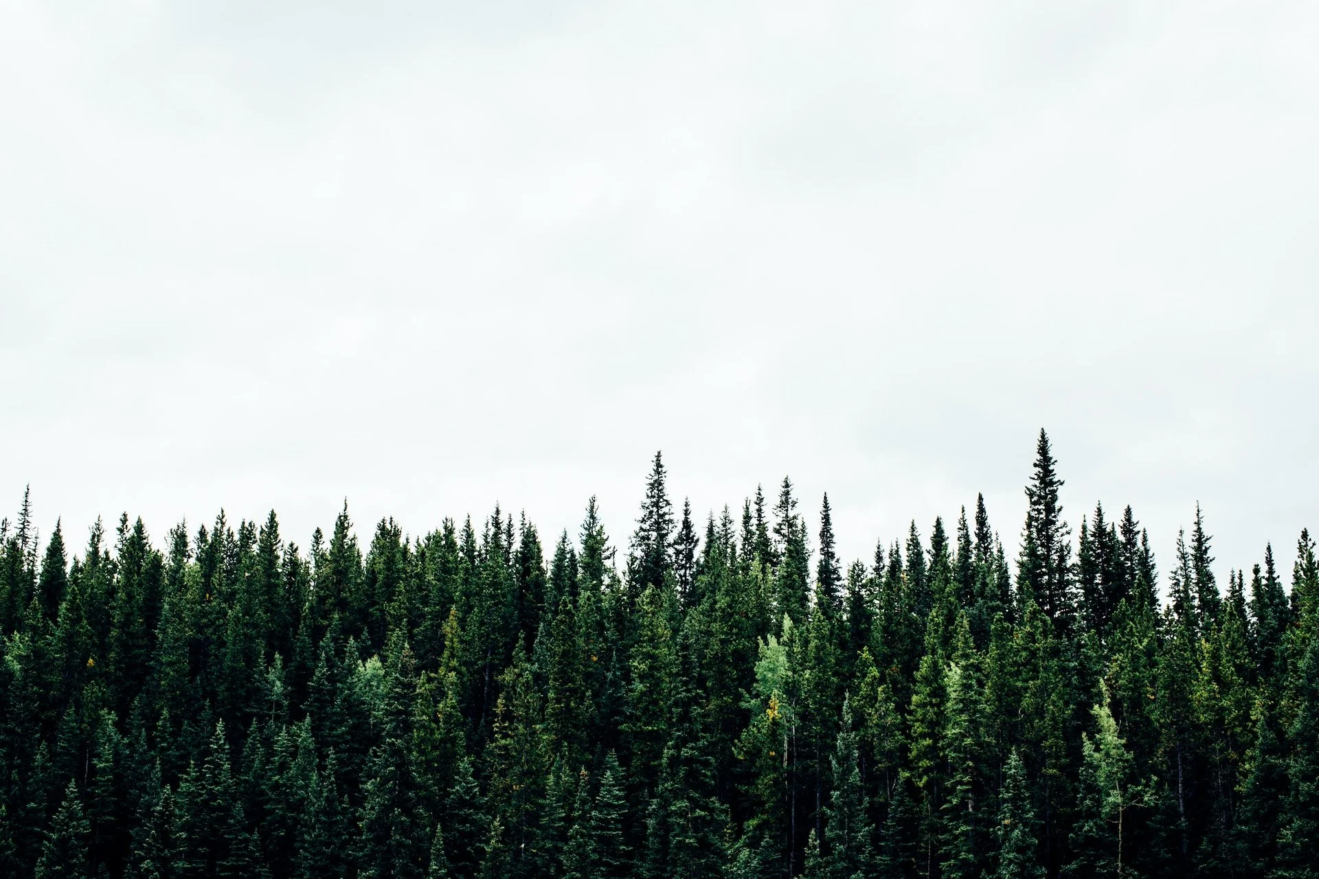 Returning Earth Day to Its Revolutionary Past