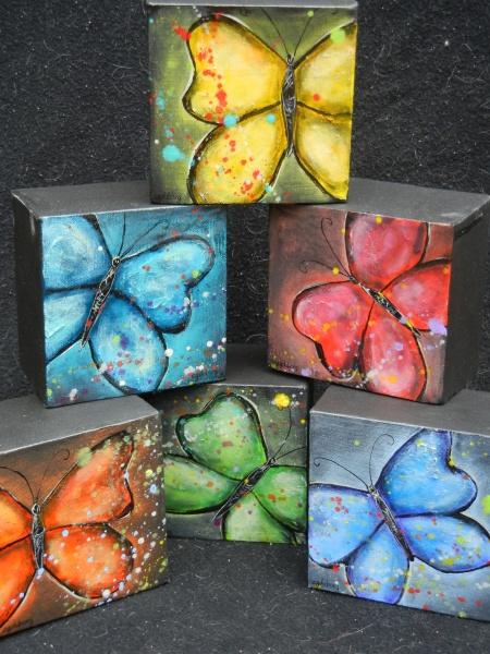 Butterfly Collection