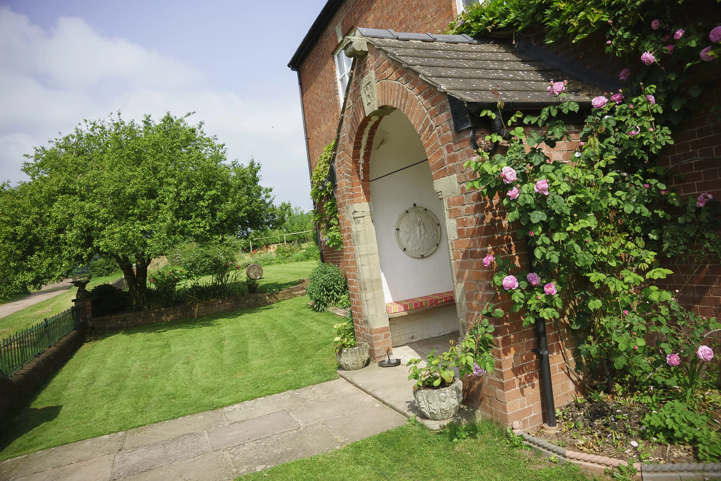 Freshly-mown lawn