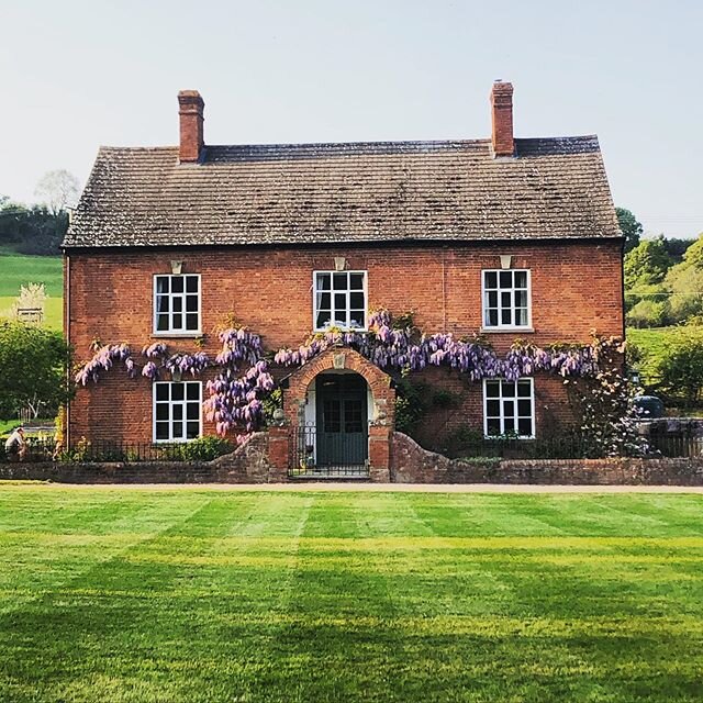 Our beautiful Wisteria. It&rsquo;s a special time each year when this magnificent flowering plant is in full bloom. . .
.
#wisteria #wisteriahysteria #floweringplants #liliacflowers #houseandgarden