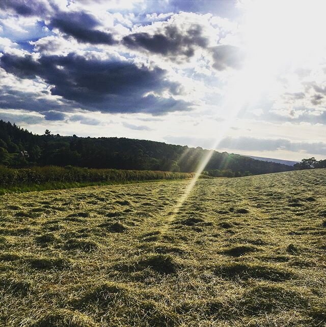 Haymaking. The most beautiful smell in the world.
. .
. 
#haymaking #sweetsmell #meadows #fields #britishfarming