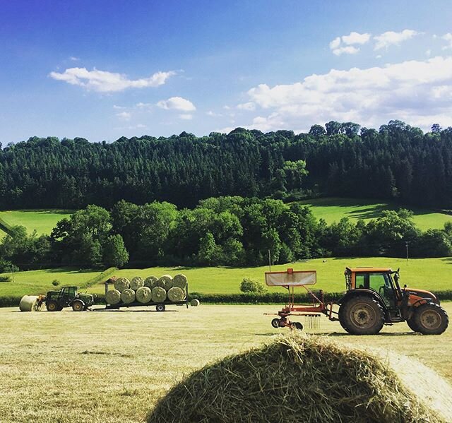 All in before the rain! #haymaking #herefordshire