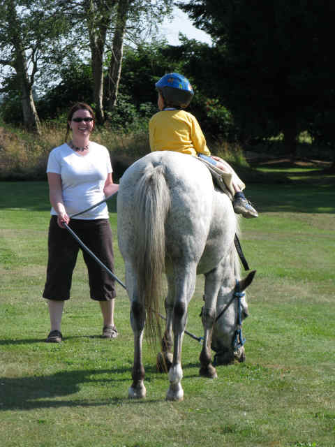 Different sizes of horses for different children's needs