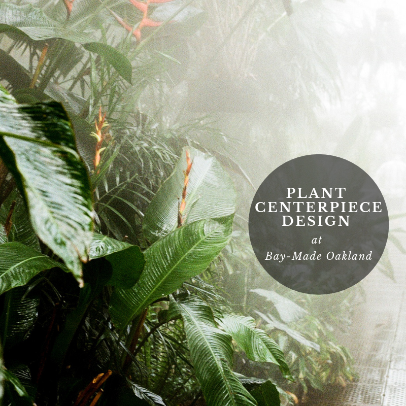 Plant Centerpiece Design.png