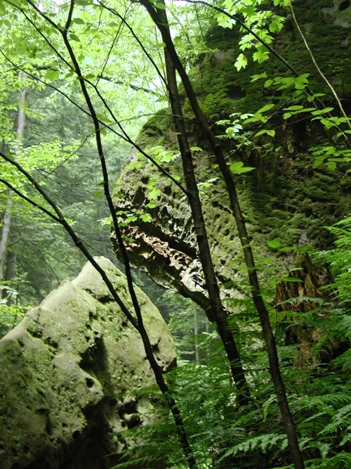 Conkles Hollow Rock Arch