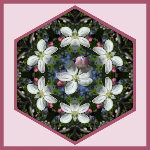 crabapple.jpg