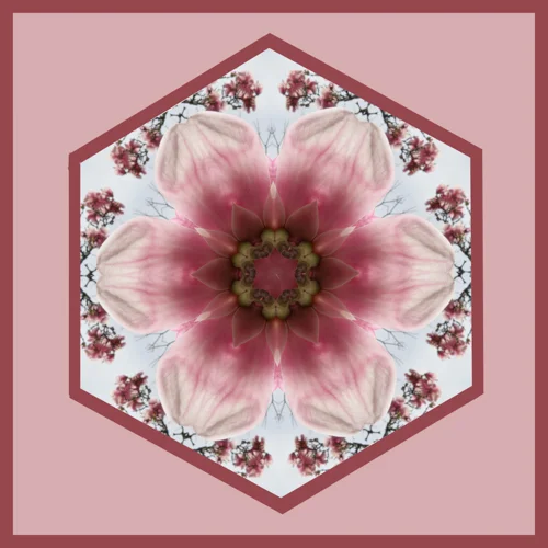magnolia.jpg