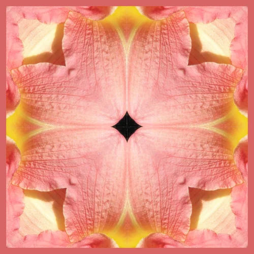 peachdaylily.jpg