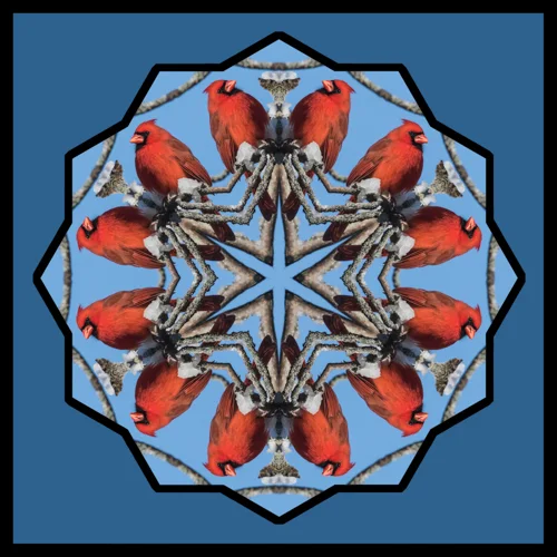 Cardinal 2.jpg
