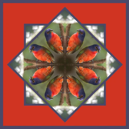 Painted Bunting 2.jpg