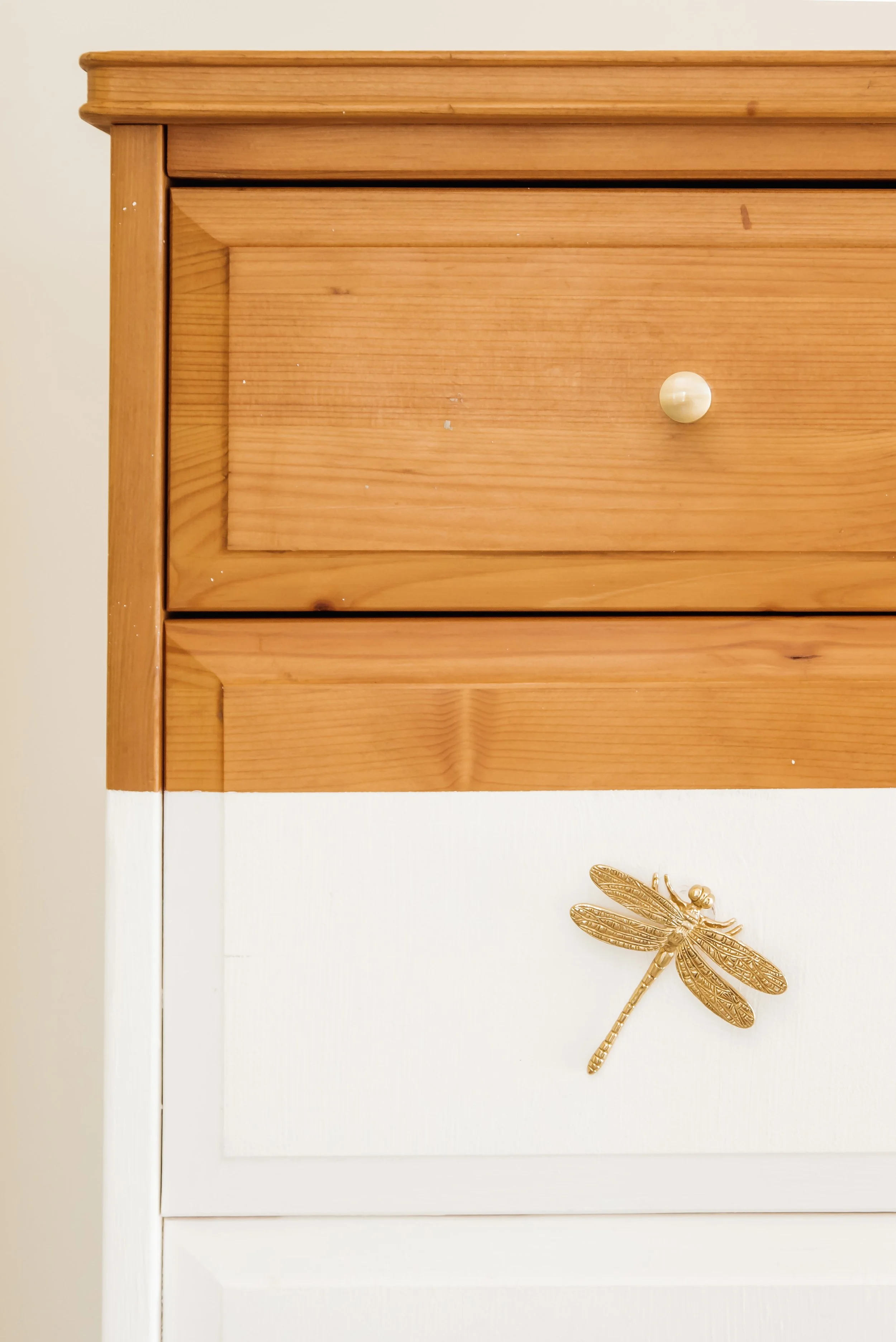 Danielle Backhouse-27.jpg