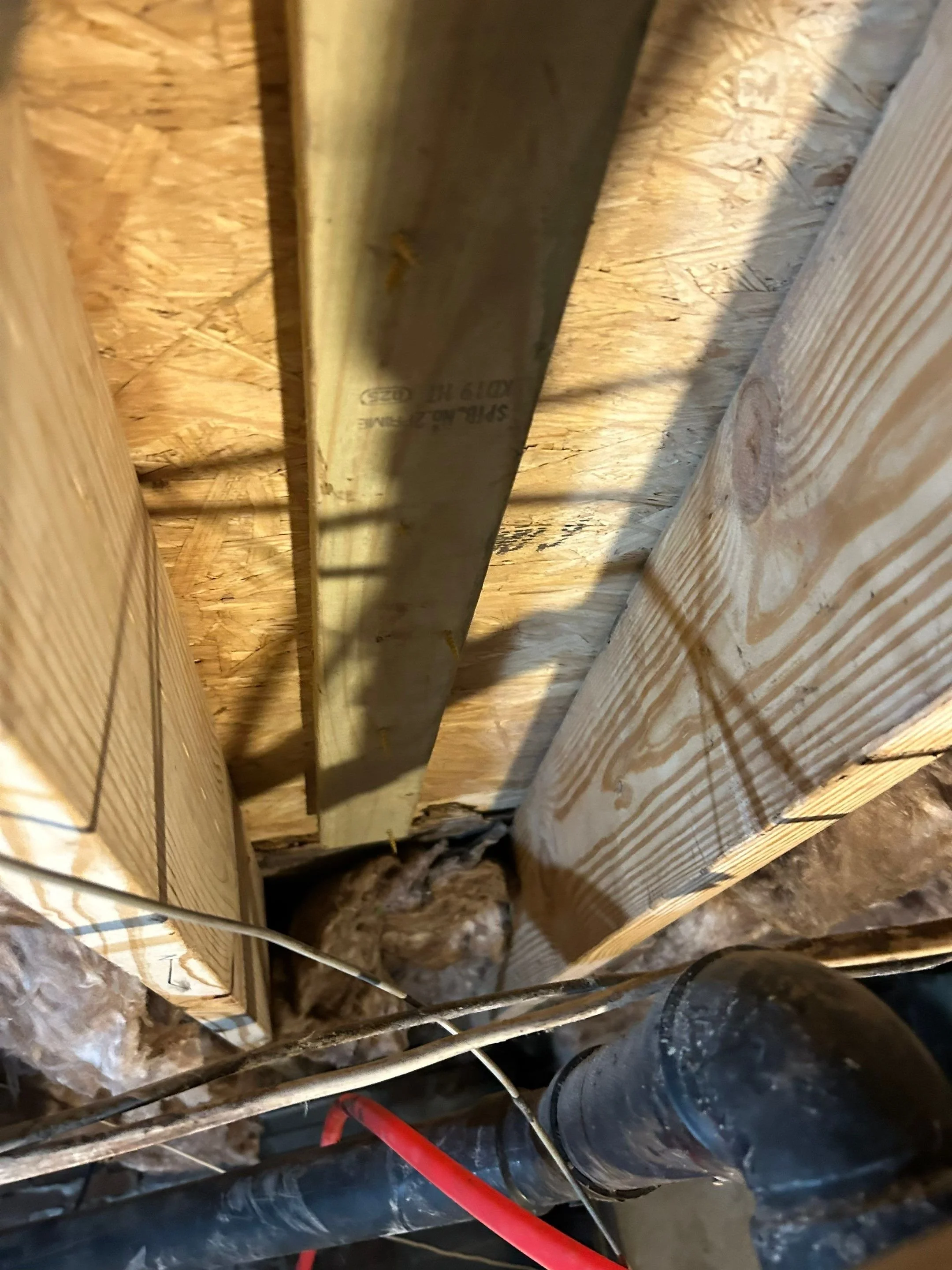 Foundation wood repair