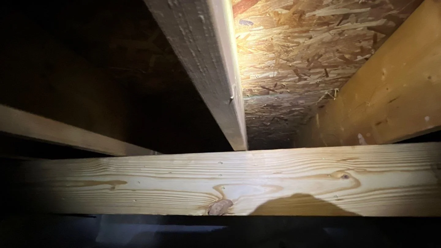 Girder support beam repair