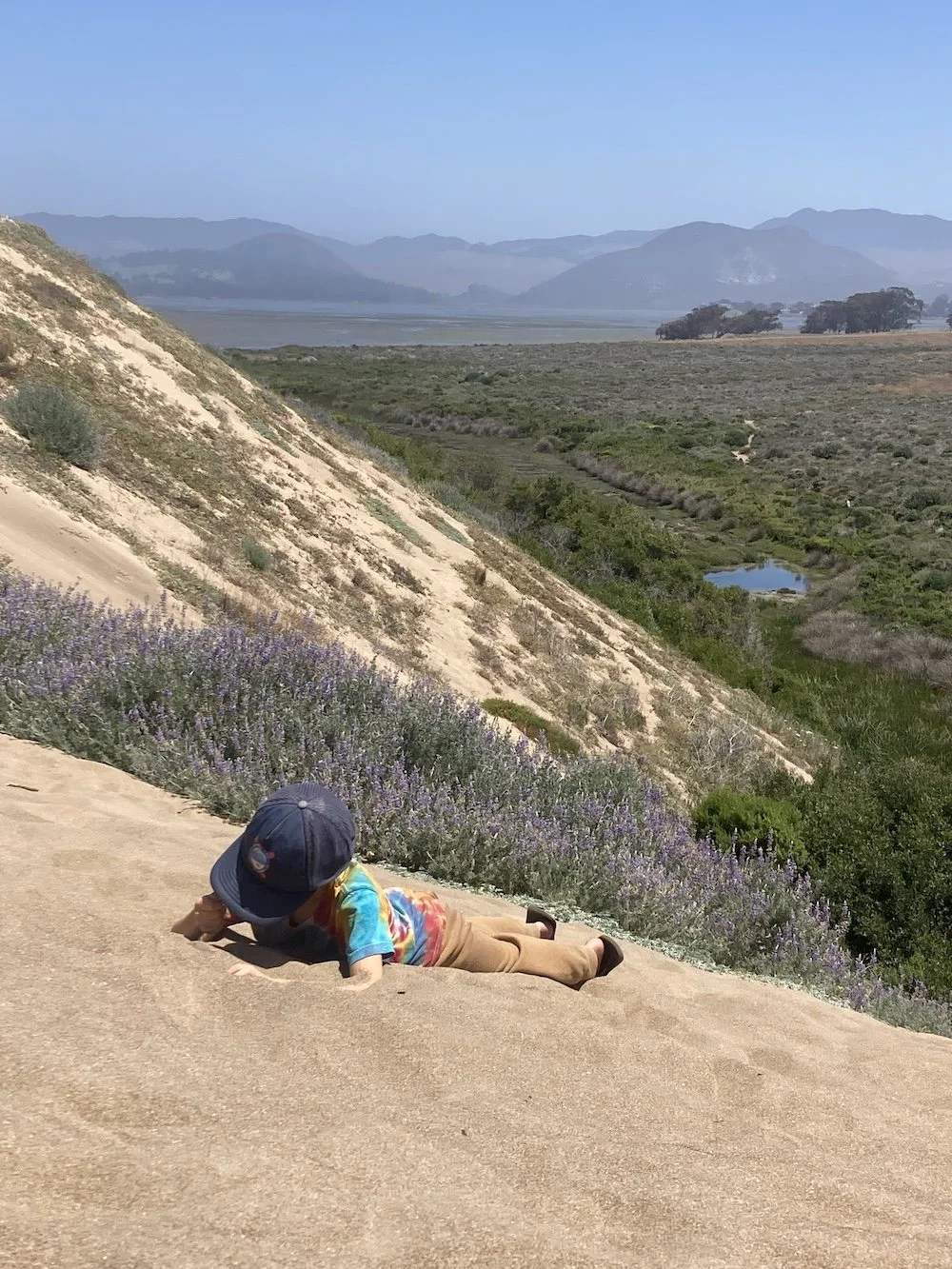 NE lying on the sand dune.jpeg