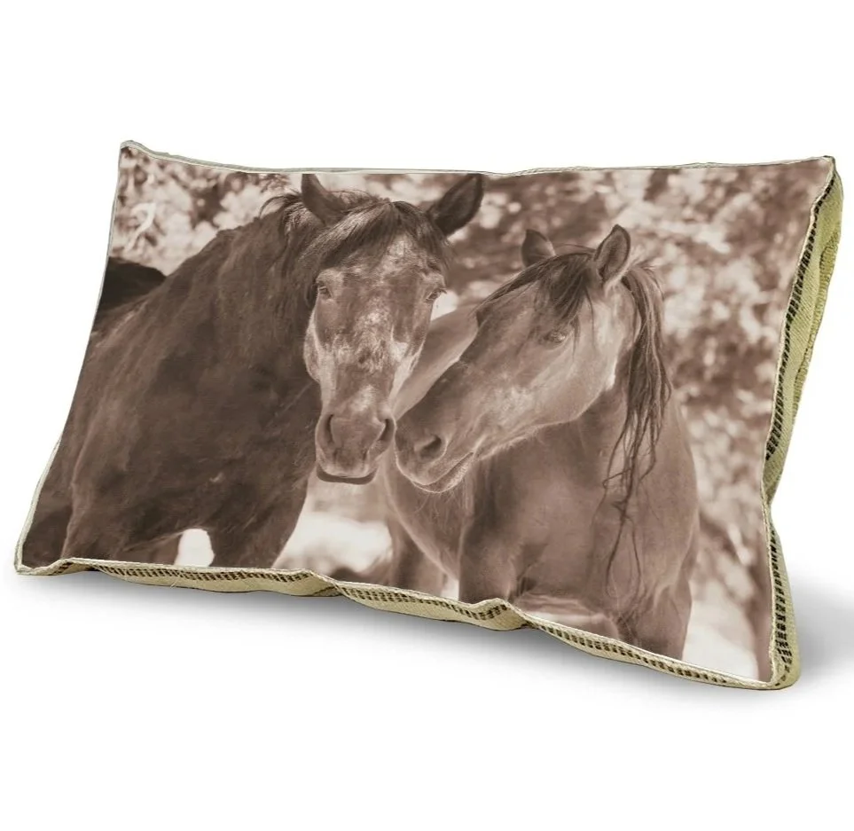 Back In Stock!!! Skydog Custom Cushions!!! (Begins Shipping Oct 27th, 2025)