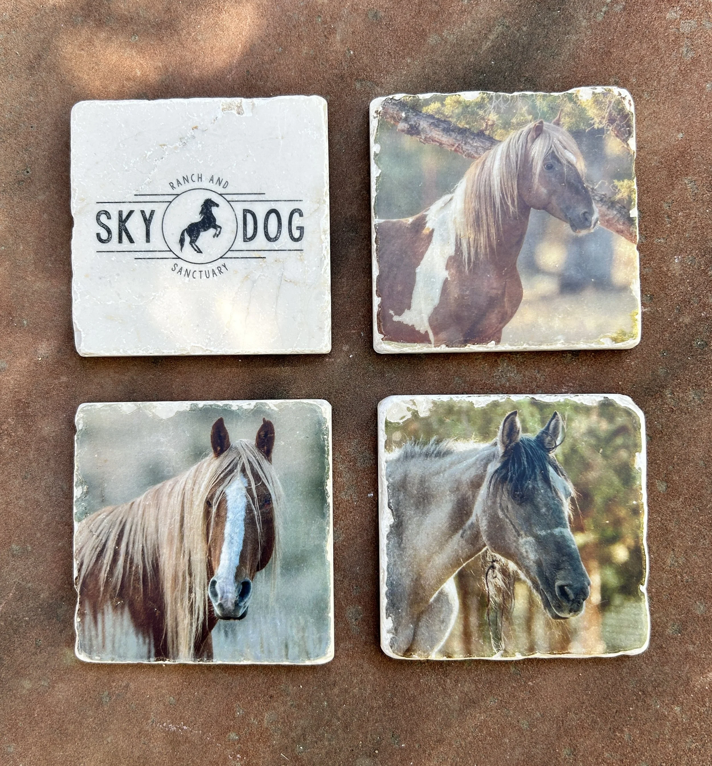 NEW!! Handcrafted Skydog Coaster Set