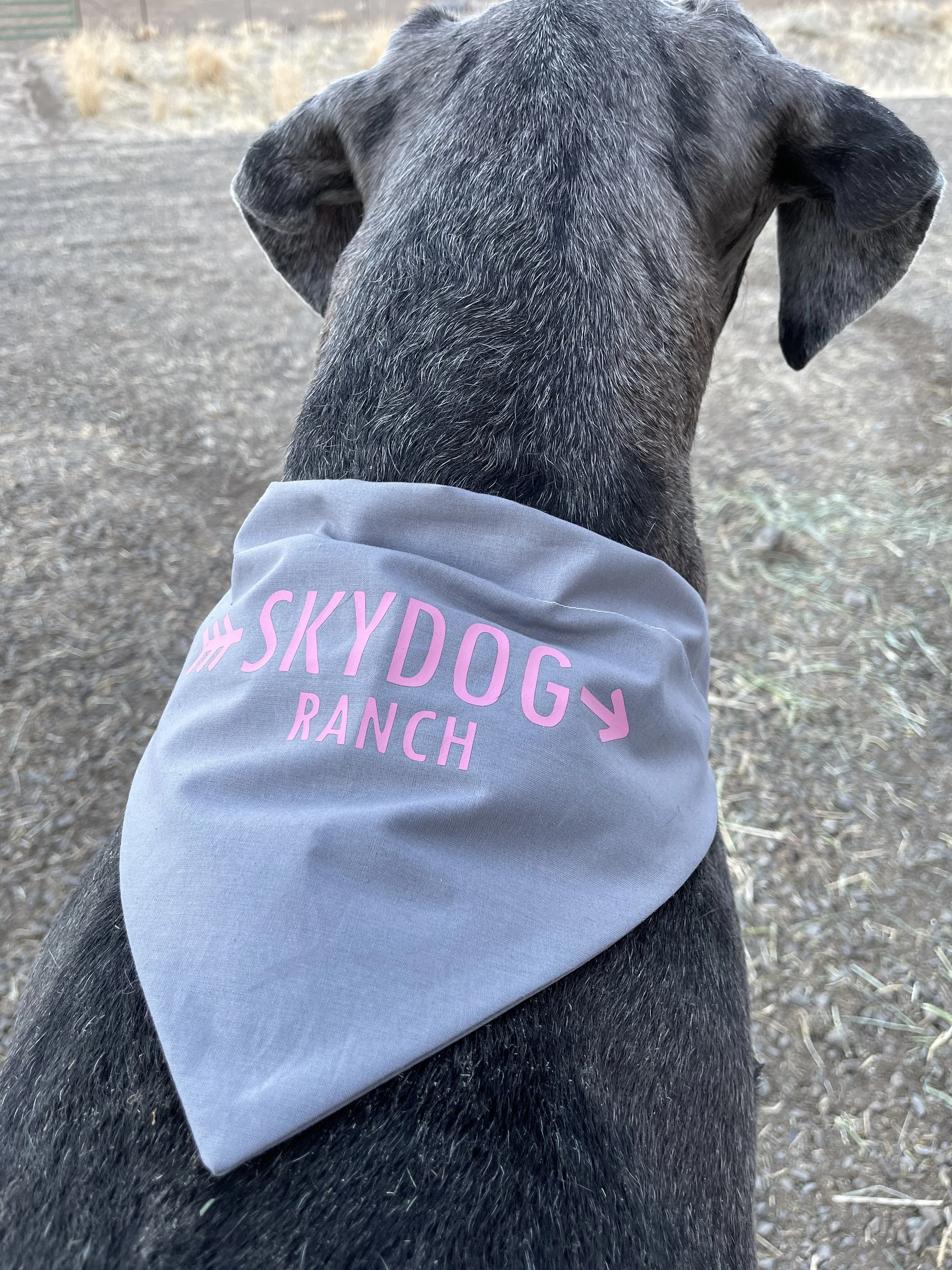 Skydog Ranch DOG bandanas