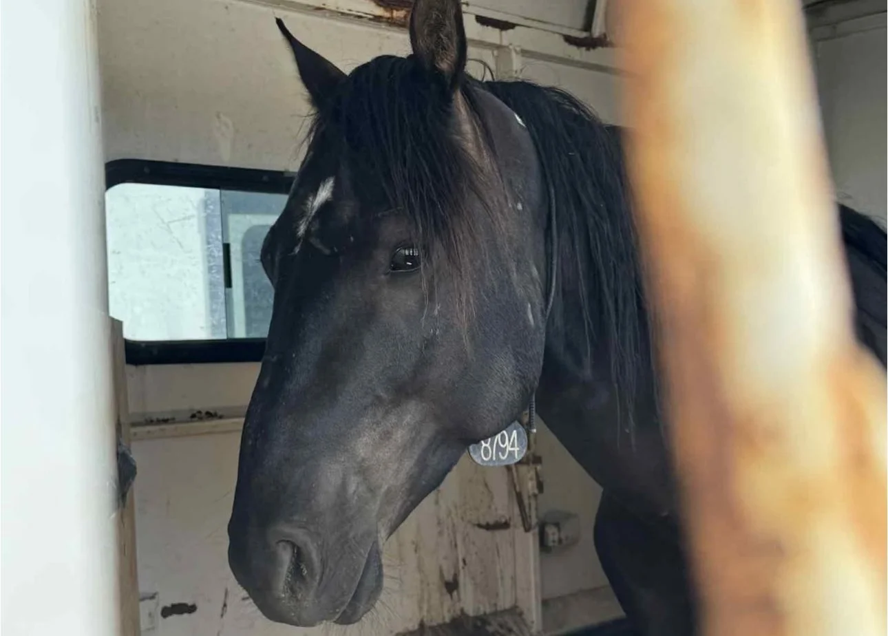 Valor being picked up at BLM