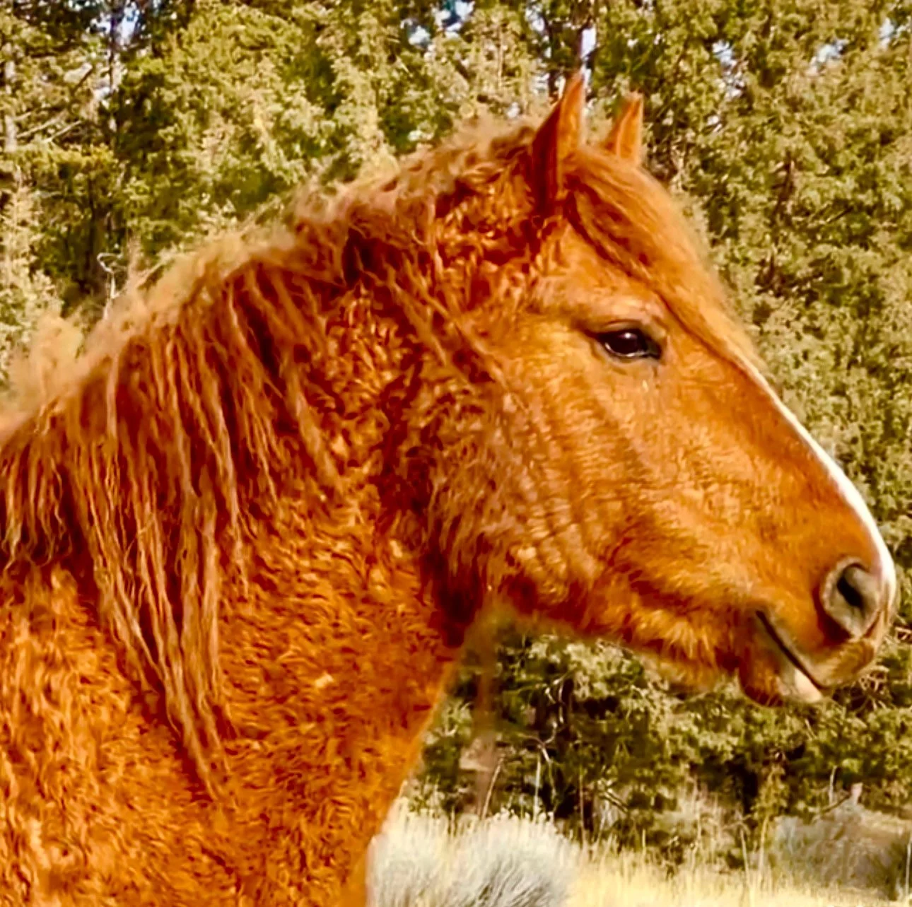 0F0BDE69-94D7-42CD-A6EE-436CECFB485A 2.jpg