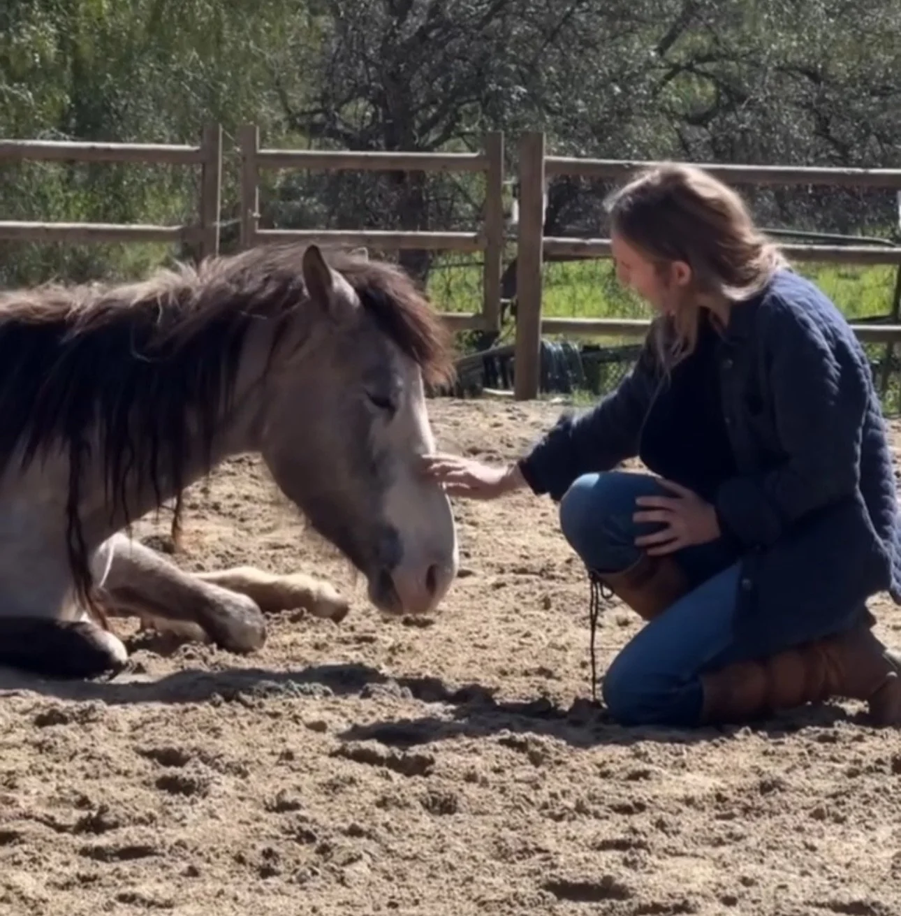 Lady Grey healing in Malibu