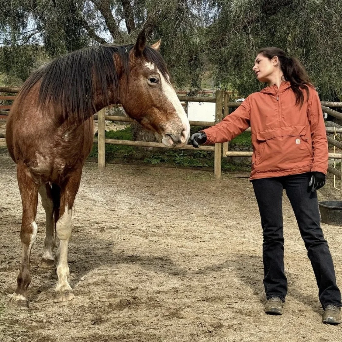 Mr. Bojangles healing in Malibu