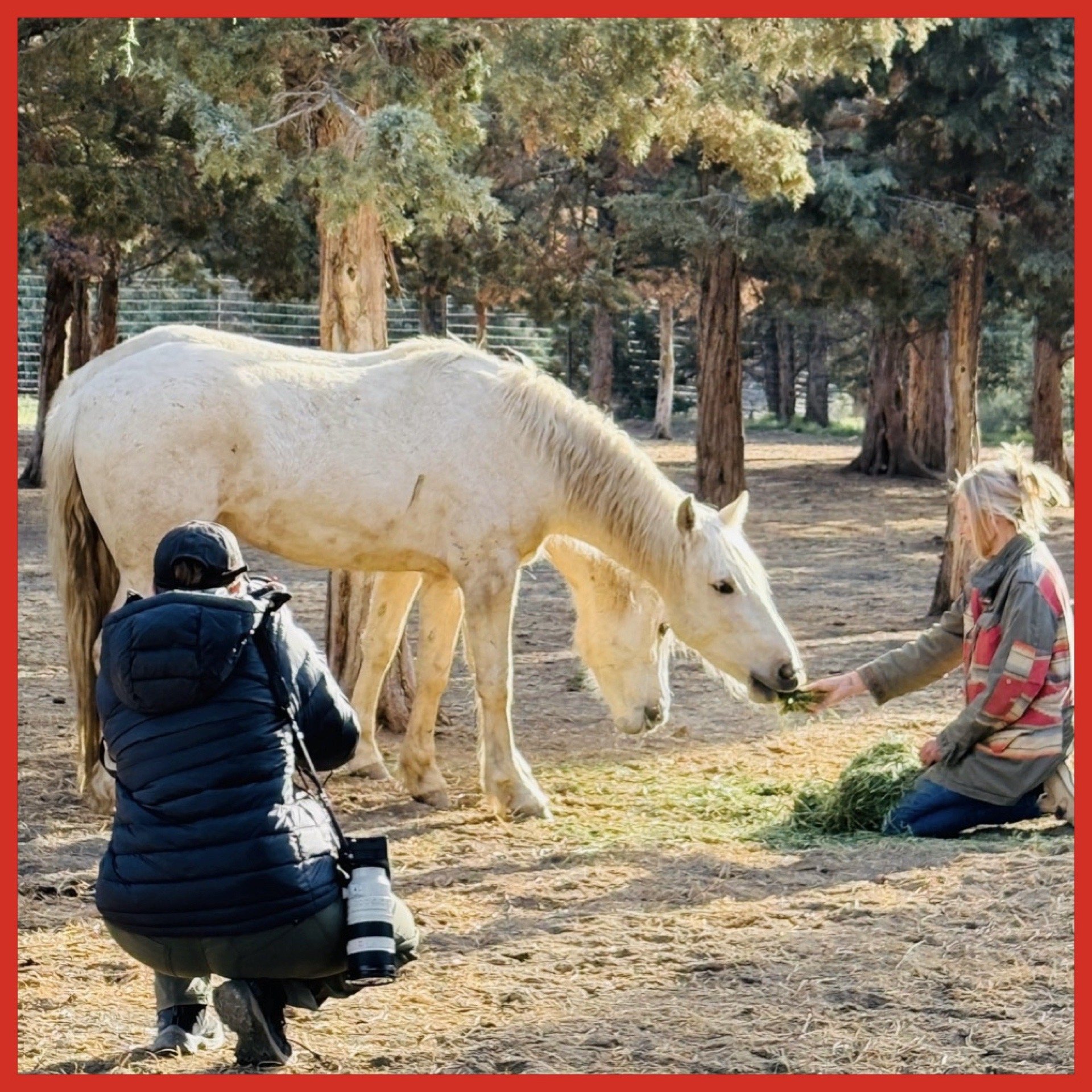 Erin Schaff photographs Clare with Sunny &amp; Birch at Skydog in Oregon