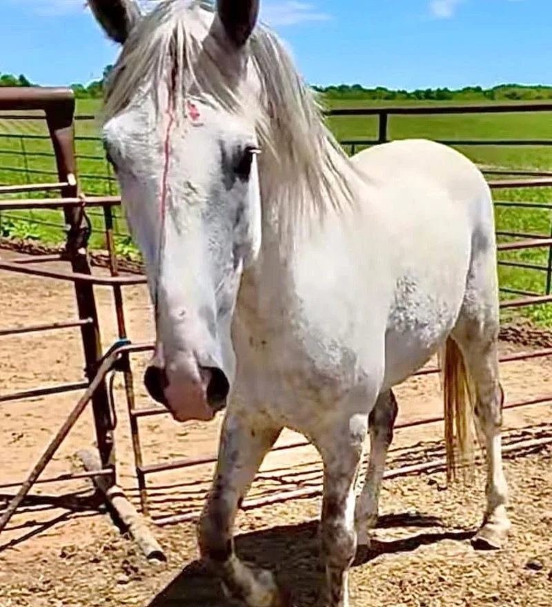 His bonded buddy