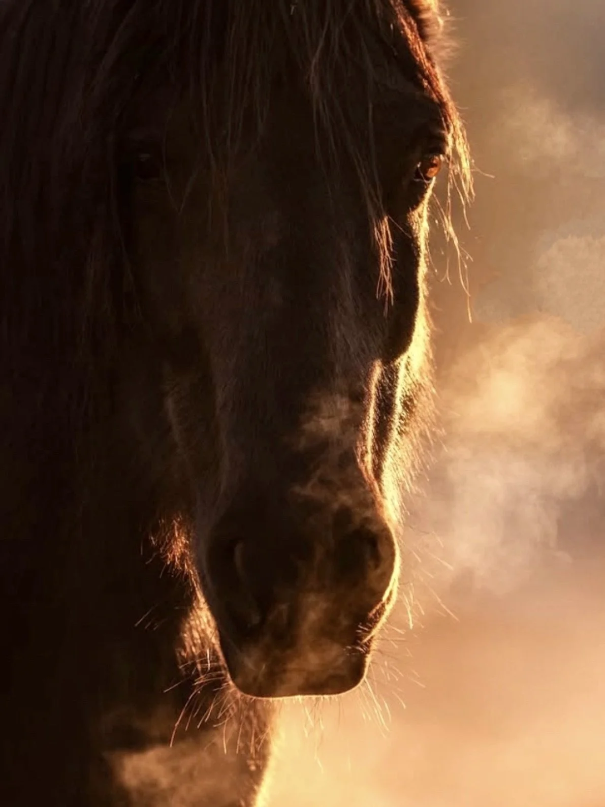 Smoke by Scott Wilsom