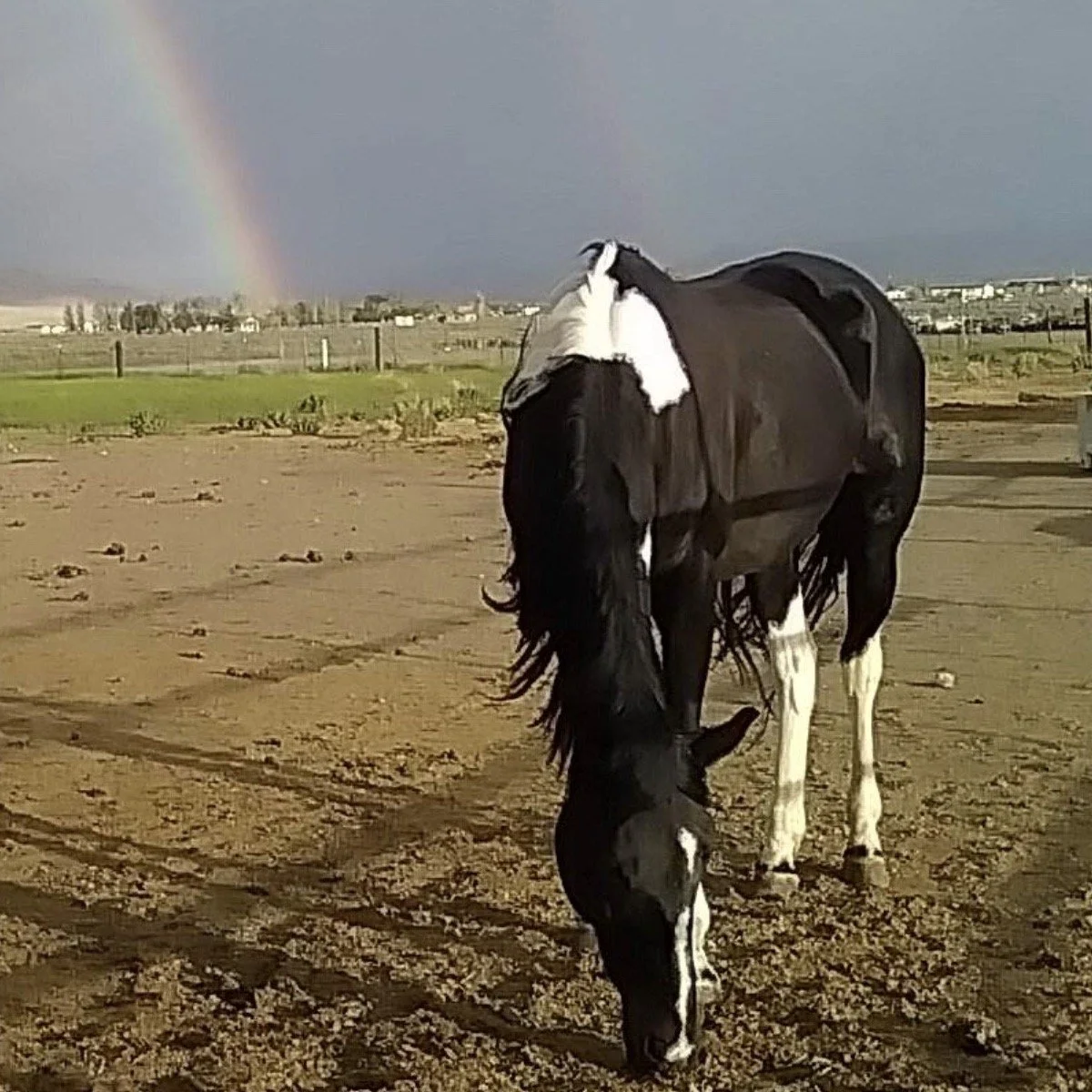 Double Rainbow in Nevada