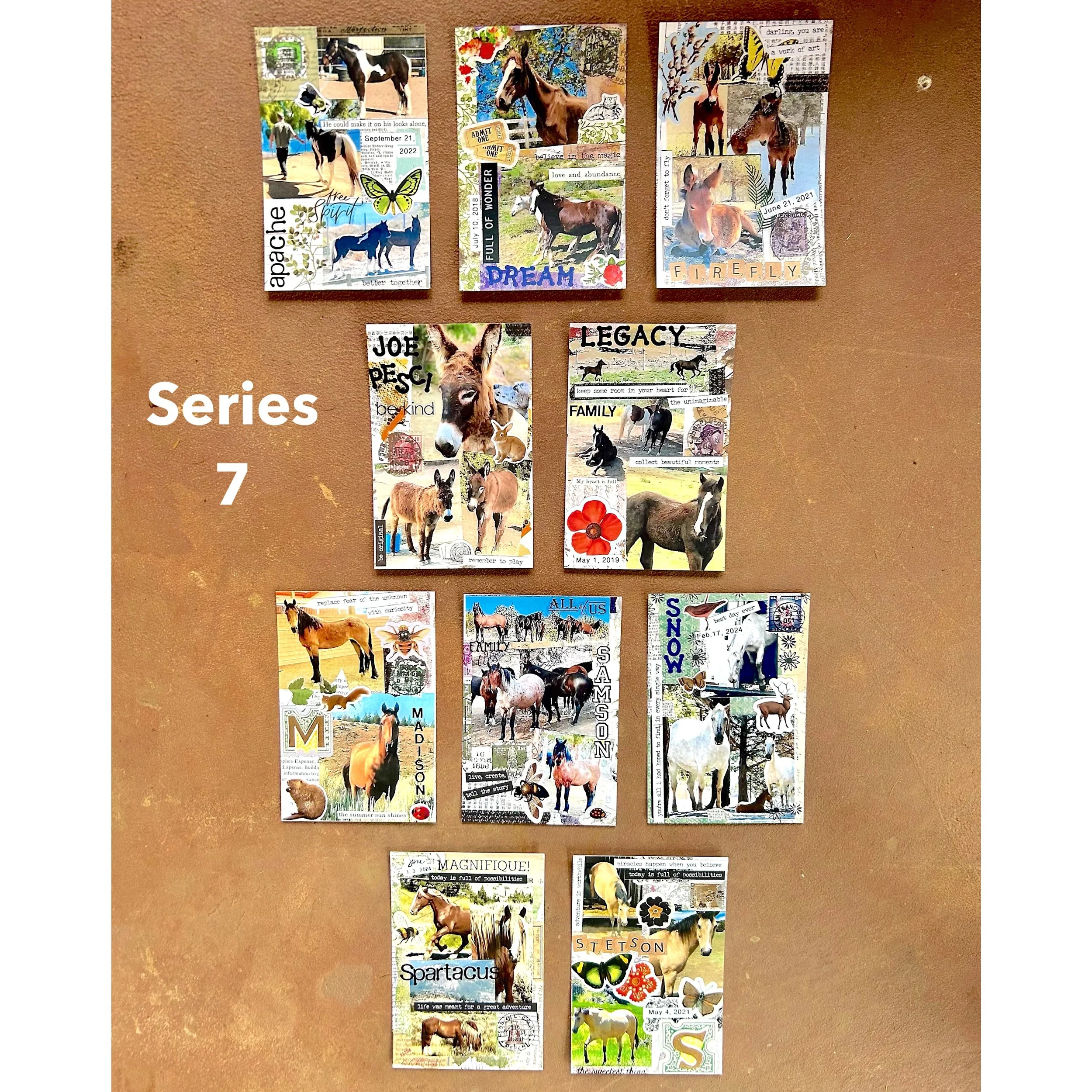 Series 7 All Final.JPG