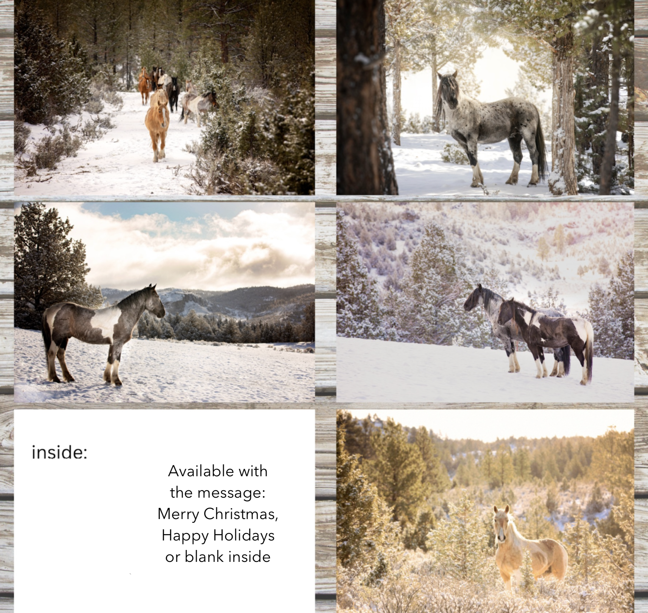 Screen Shot 2025-11-04 at 2.08.48 PM.png