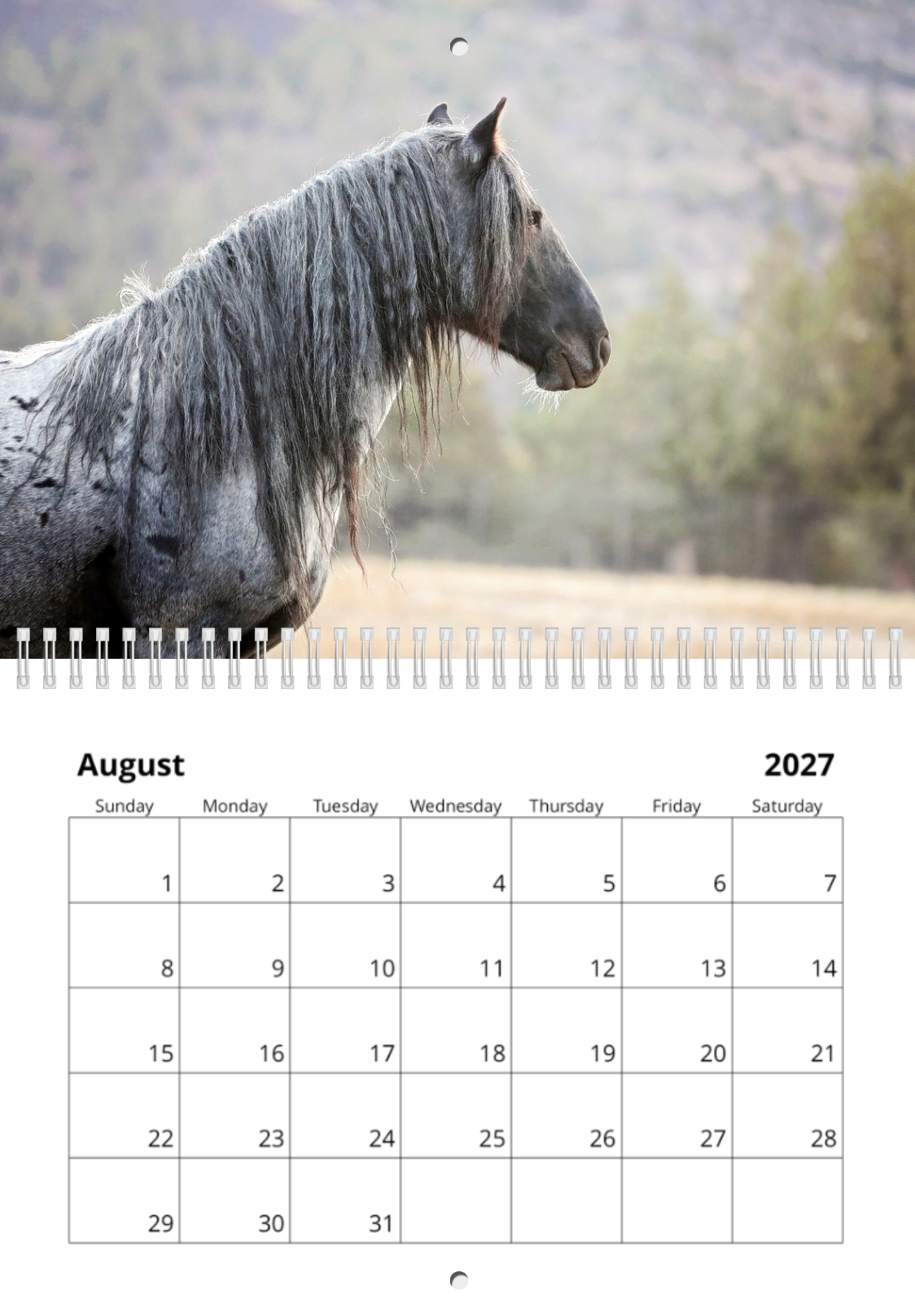 Screenshot 2026-09-09 at 5.25.47 PM.png