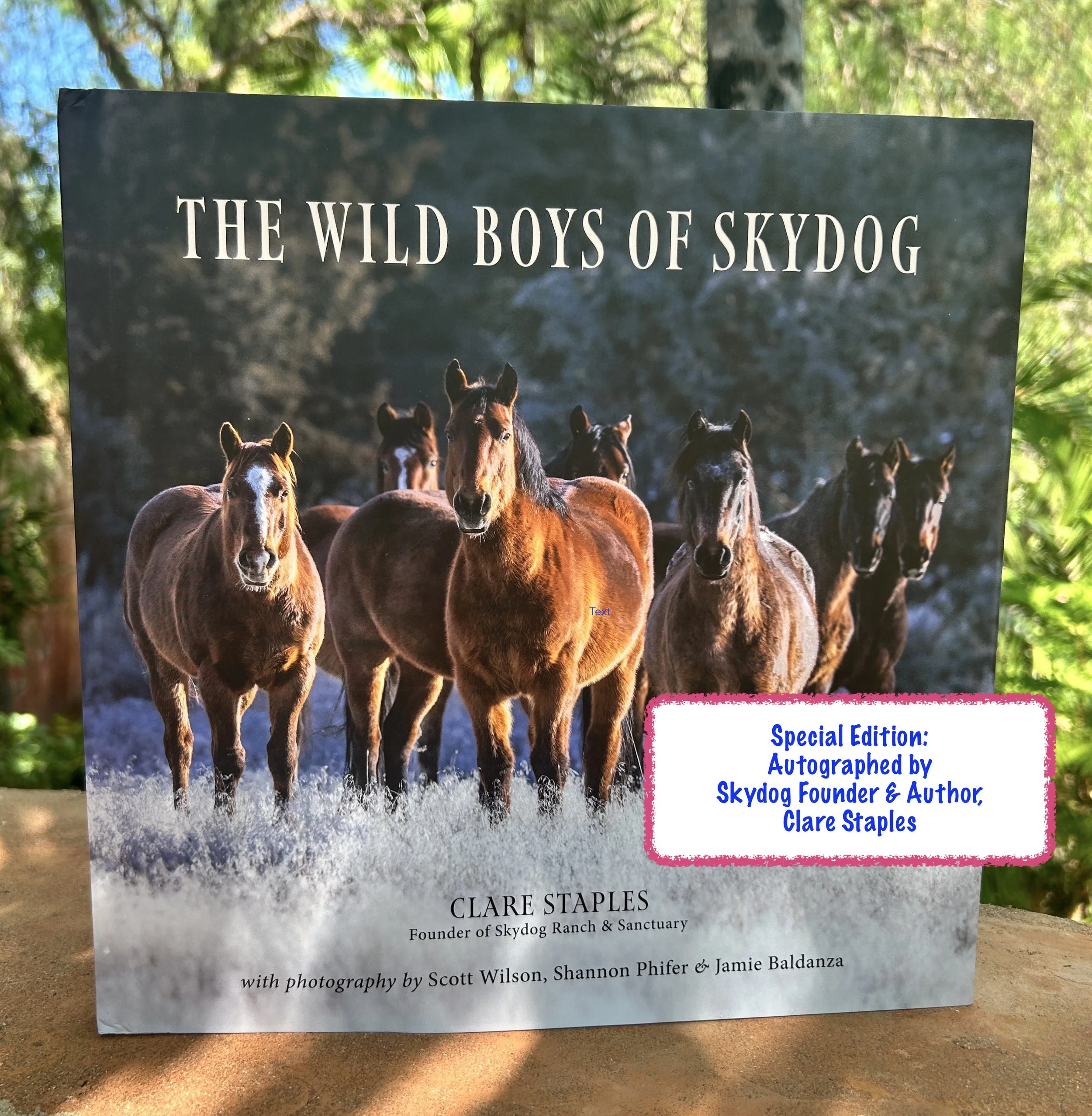 Limited Quantities!!! 'The Wild Boys of Skydog' (Autographed by Clare!)