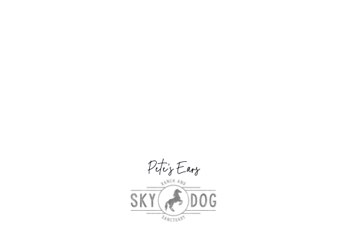 NEW SKYDOG Holiday Cards 2026 with Names (dragged) 12.png
