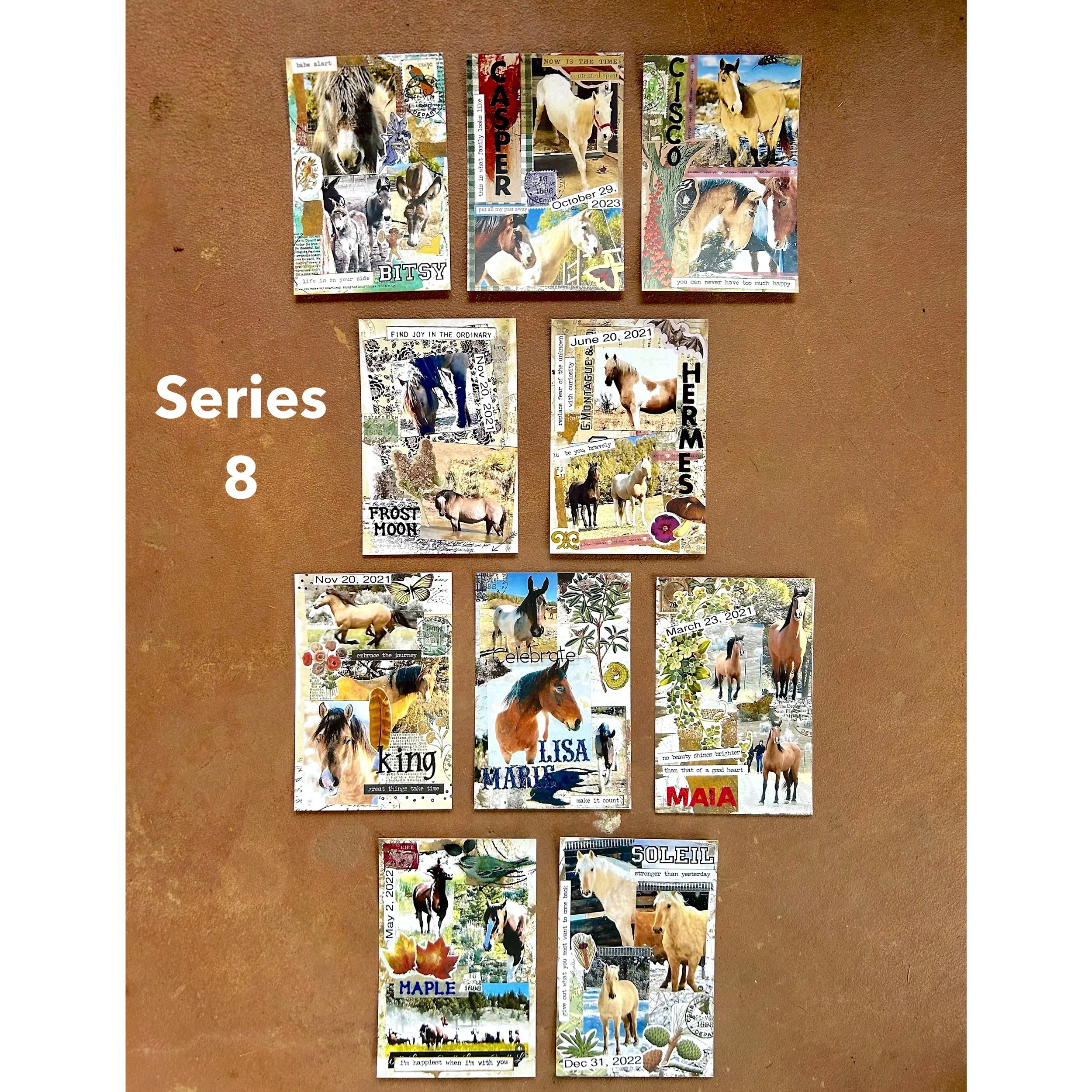 Series 8 All Final.JPG