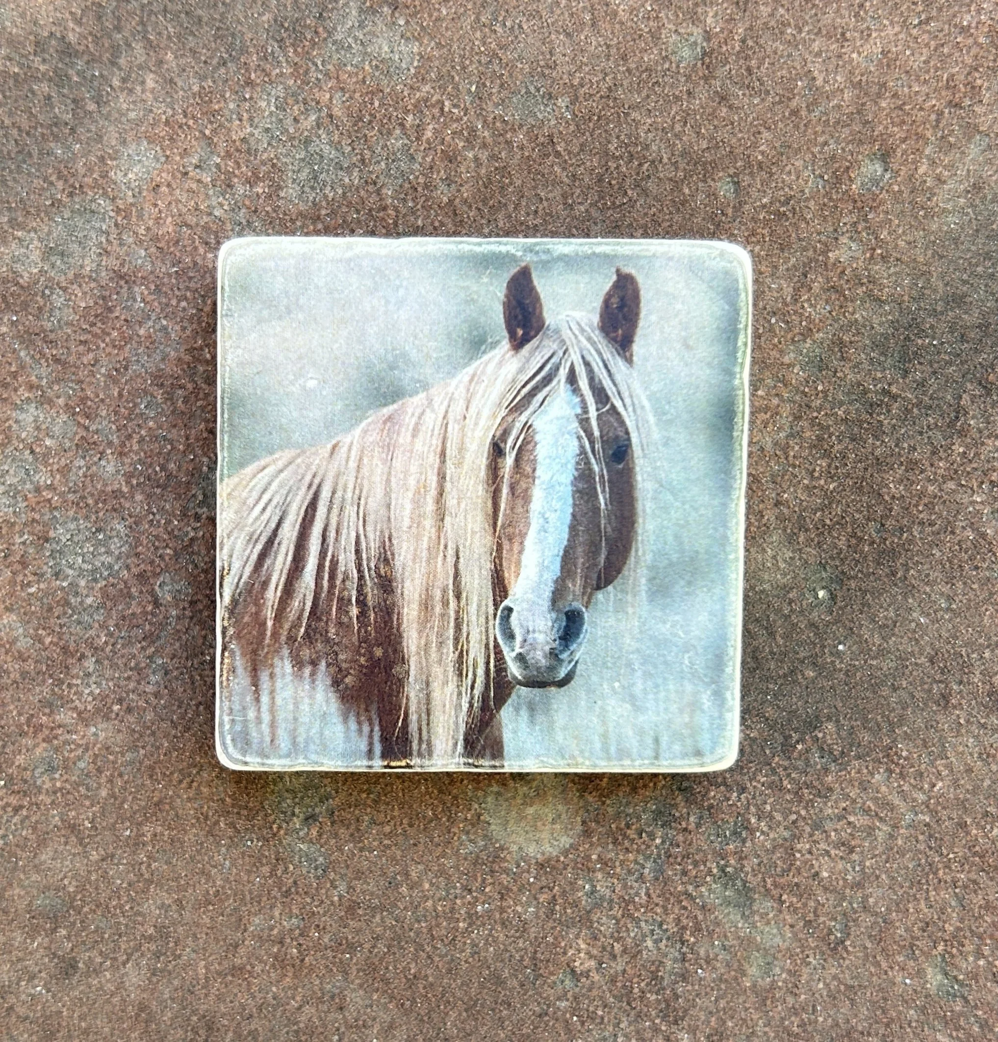 Magnet Spartacus.JPG